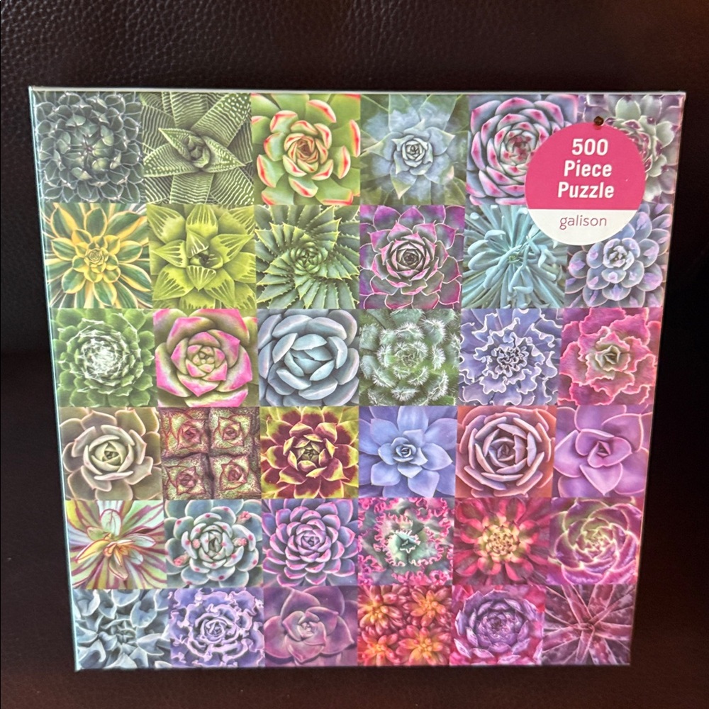 Galison Succulent Spectrum Puzzle. 500 pieces. Excellent condition with poster